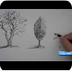 How to Draw Trees - YouTube
