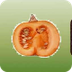 Life cycle of a Pumpkin