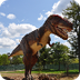 Tyrannosaurus Rex Facts for Ki