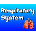 Respiratory System Song - YouT