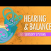 Hearing & Balance: Crash Cours