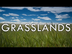 Grasslands - Biomes Episode 5