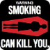 death due to smoking 