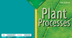 11 Plant Processes 6.pdf