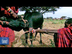 Modo de vida de la tribu Masai