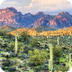 Sonoran Desert Ecosystems