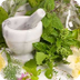 Top 10 Herbs Used in Cosmetics