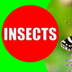 INSECTS FOR KIDS