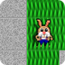 Bunny Trail Maze