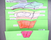 Earth's Layers Foldable