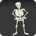 The Skeleton Dance - YouTube