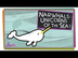 Narwhals: Unicorns of the Sea!