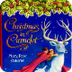 CHRISTMAS IN CAMELOT