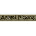 Forest Animal Pics