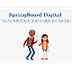 Springboard Online -