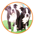 Sitio Oficial de Cachorros Cac