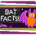 3 Fun Facts About Bats! - YouT