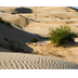 Imperial Sand Dunes (Glamis) H