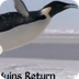 Frozen Planet: Penguins launch