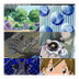 Digimon 3: Tamers ~ Links de D