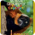 Lemurs