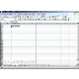 Excel 11.0 