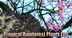 Tropical Rainforest Plants