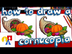 How To Draw A Cornucopia