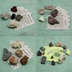 The Gallery of Minerals With P