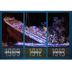 Titanic Interactive — History.