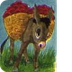 El burrito descontento