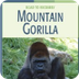 Mountain Gorilla