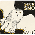 Secrets Of The Snowy Owl - You