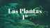 LAS PLANTAS by PILAR ROLDÁN MA