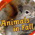 Animals in fall