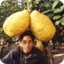 El limón más grande del mundo 