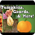 Pumpkins, Gourds, & More!  (Ha
