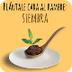 POSTER alimentos ...