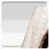 eminem.com