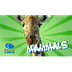 Mammals | Educational Video fo