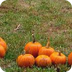 Kids Thanksgiving Activities