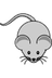 Souris-Web (French)