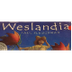 Weslandia by Paul Fleichman / 