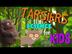 Fun Facts about Tarsiers | Sci