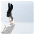 basejump