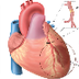 infarto agudo do miocárdio - Y