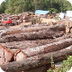 Deforestacion Nic