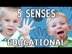 5 Senses | Preschool | I Can L