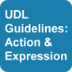 UDL: Action & Expression