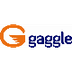 Gaggle - Safe Online Learning 